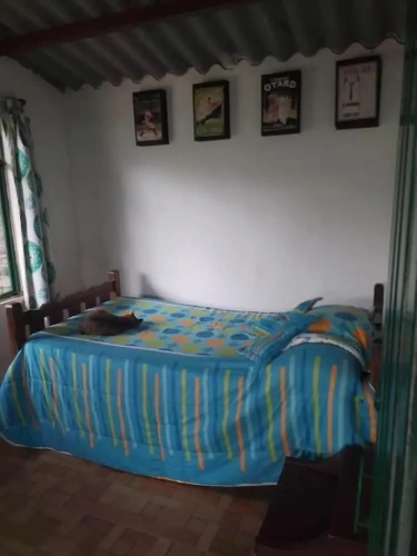 Standard Single room with mountain view