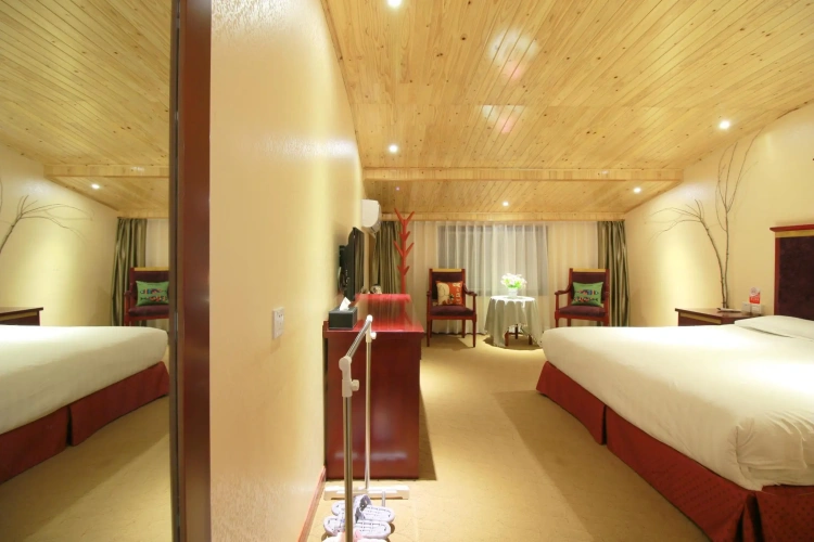 Standard Double Penthouse room