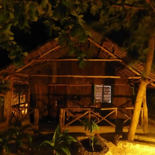 Standard Bungalow with view