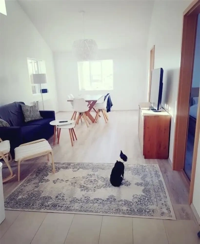 2 Bedrooms Apartment with mountain view