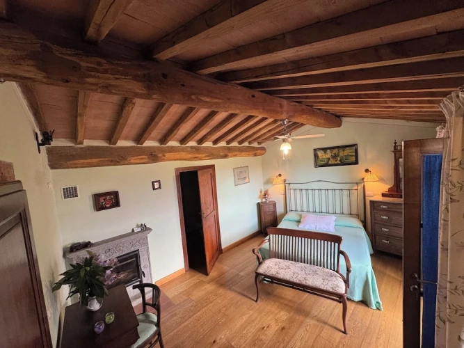 Deluxe room with balcony and with mountain view
