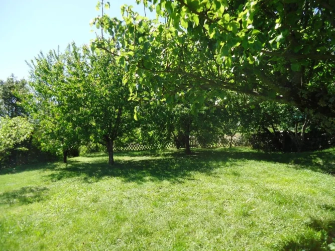 Standard Double room with garden view