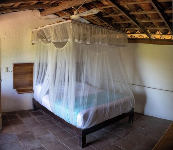 Standard Double room with balcony and with garden view