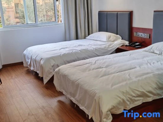 Standard Twin room with street view