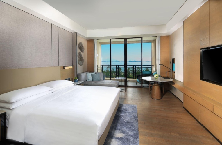 Standard Double room with balcony and with ocean view