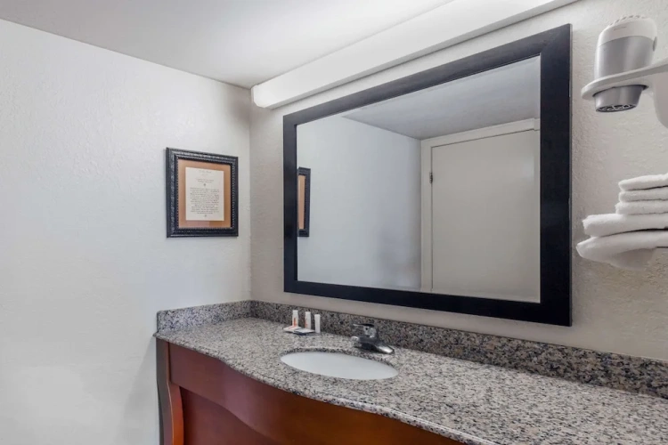 1 Bedroom Suite
