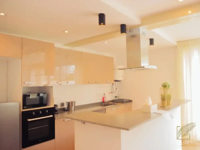 Luxury Apartment