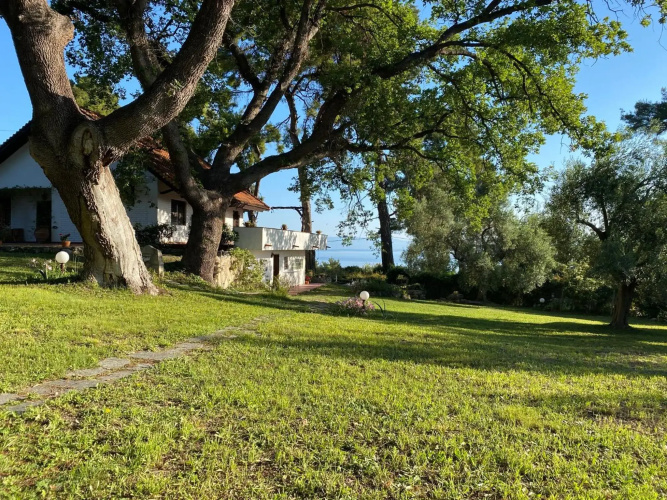Wild Oaks Cottage