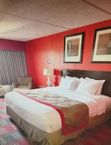 Deluxe Single room