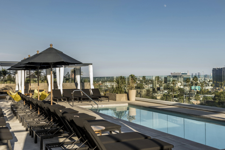 Kimpton Everly Hotel photo 33