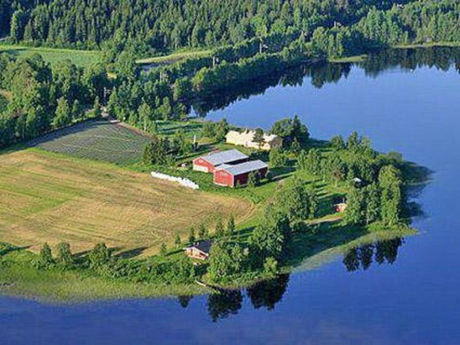 Koivuniemi