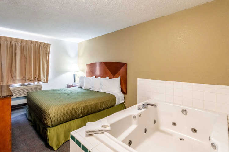 Econo Lodge Inn & Suites Auburn