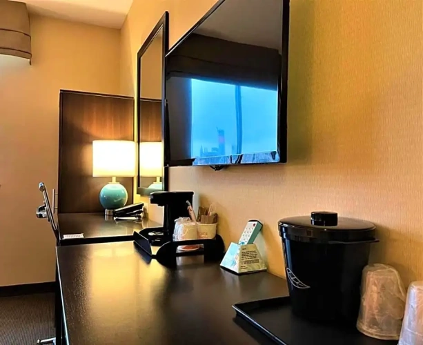 Standard room with city view