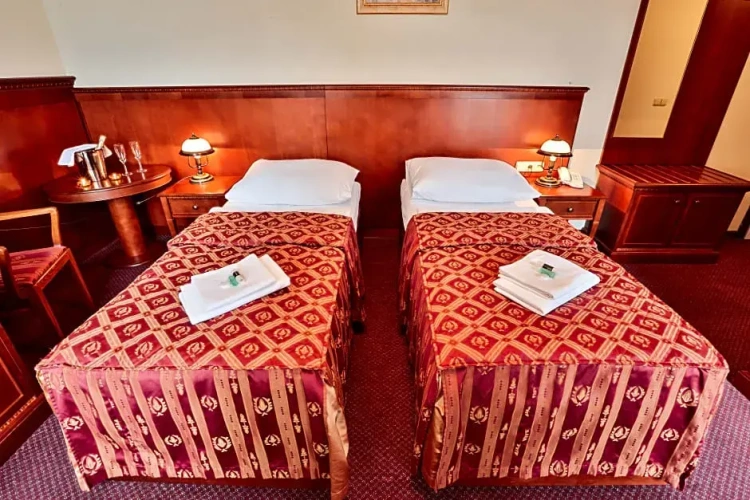Standard Twin room with view