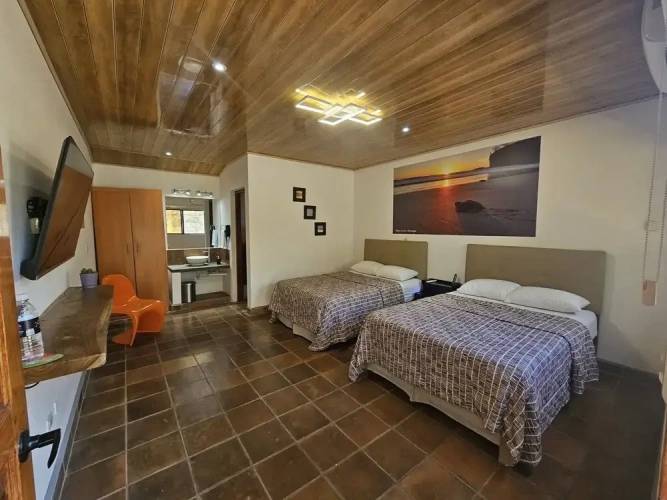 1 Bedroom Standard Quadruple Family room with garden view