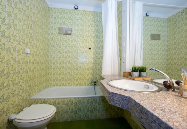 1 Bedroom Twin Family Apartment
