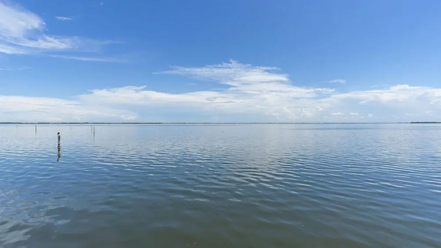 Beach Haven 2 Bedroom Condo