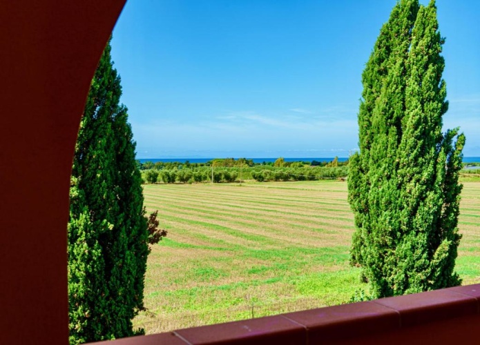 1 Bedroom Apartment with balcony and with pool view