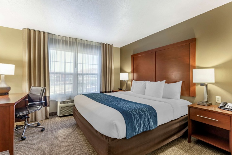 Standard Double room
