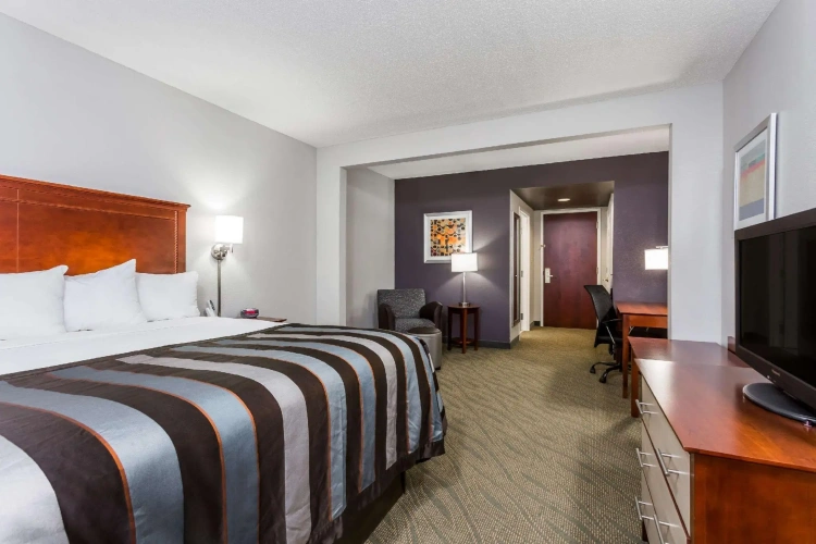 Standard Double room