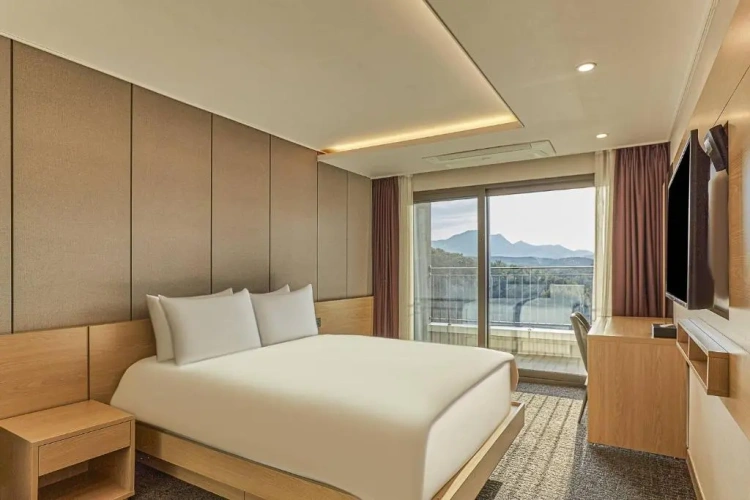 Deluxe Double room