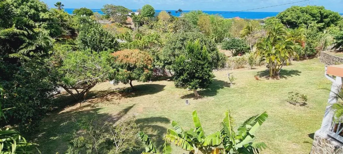 Les Hauts Du Cap