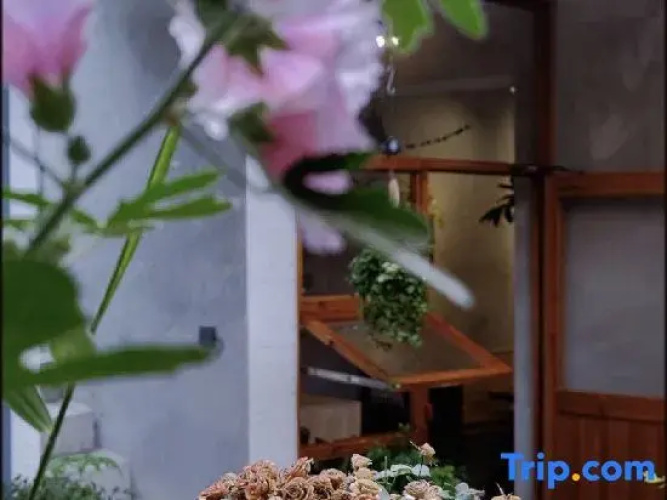 Xi 'an Bottle flower Coffee Hostel