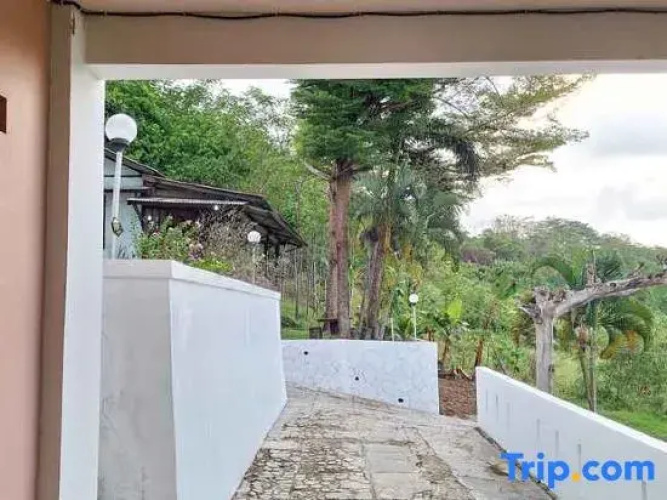 Panorama Beach Resort