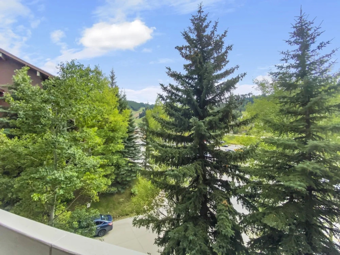 24b Powder Run 2 Bedroom Condo by RedAwning
