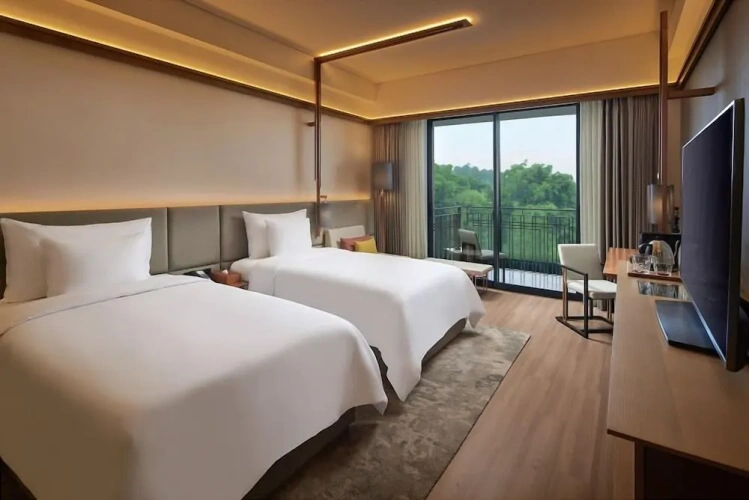 Deluxe Twin room with balcony and with garden view