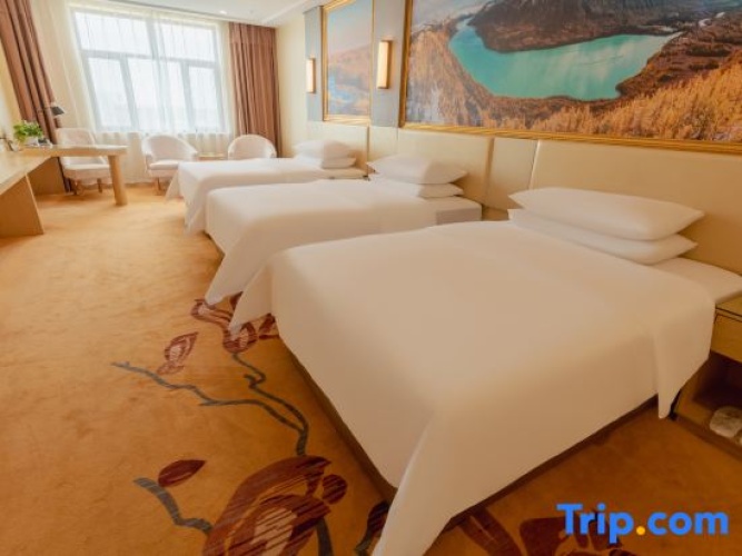 Deluxe Twin Family room