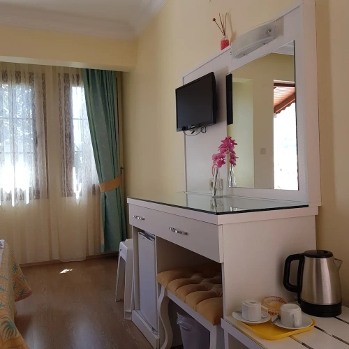 Standard Double room with balcony and with view
