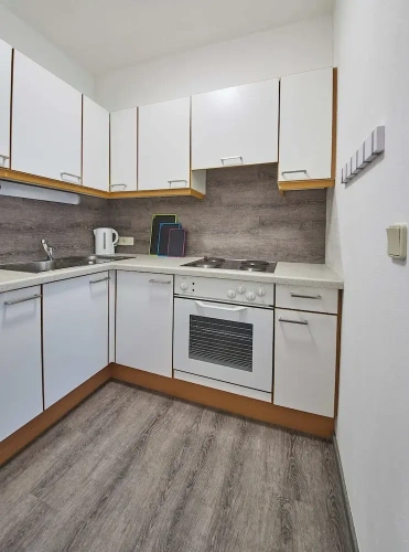 1 Bedroom Classic Apartment with balcony and with mountain view