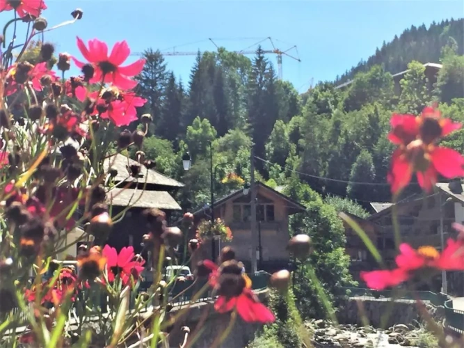 5 Bedrooms Chalet