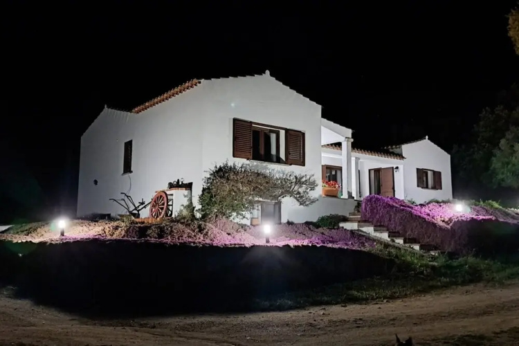 La Suara Manna