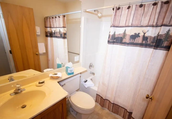 1 Bedroom Standard room