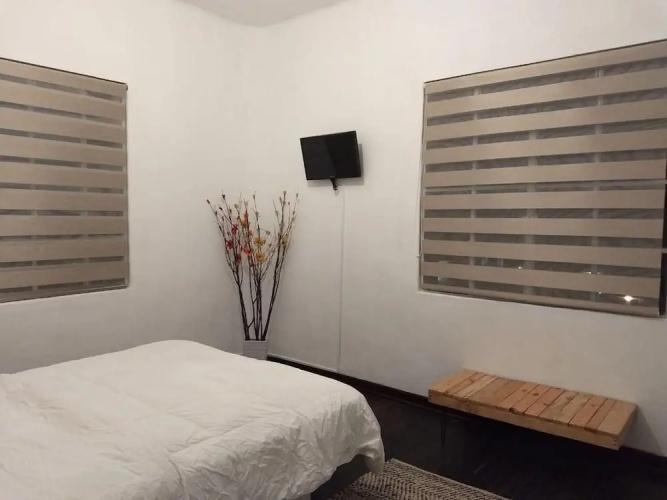 Suite Regina 94