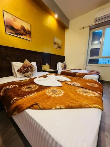 Superior Twin room with city view