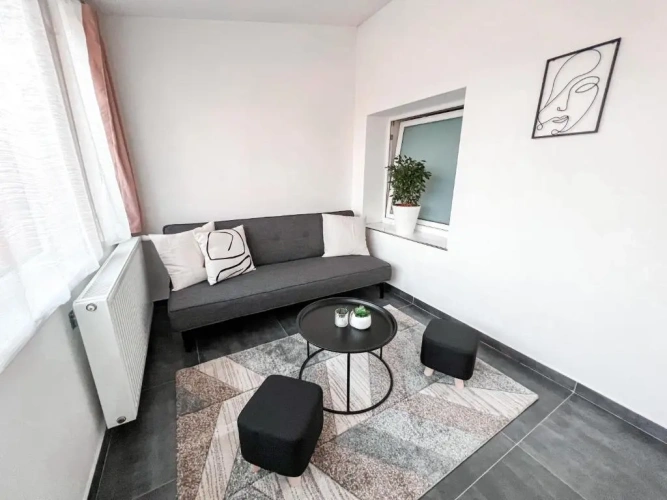 Deluxe Apartment