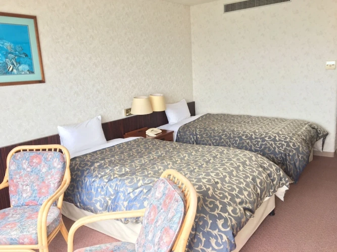 Standard Twin room with balcony and with city view