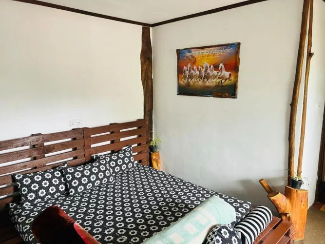 20/20 wood cabana