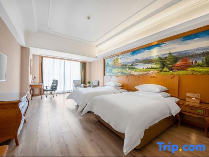 Deluxe Twin Family room