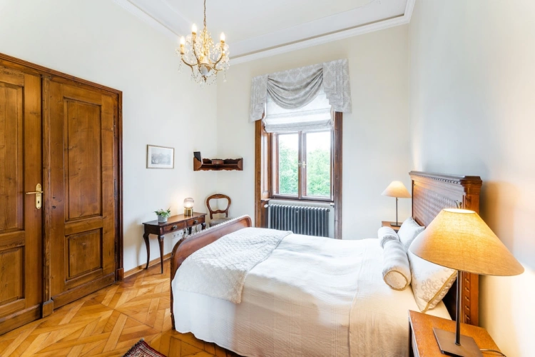 Standard Single room with park view