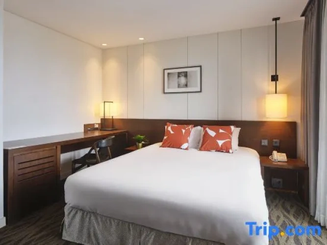 Premier Single Suite