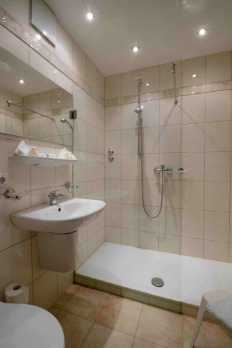 Comfort Single room with balcony and with mountain view