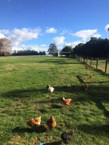 Will's Wonderland B&B & Farmstay