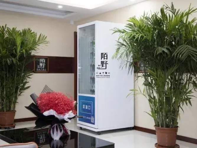 Moye Art Movie Suite