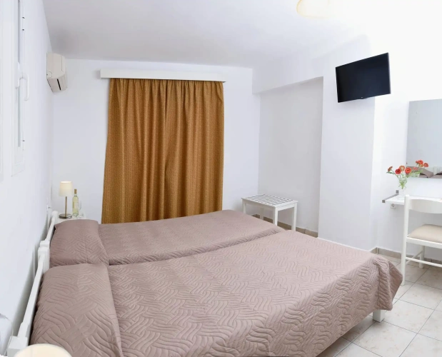 Standard Twin room with garden view