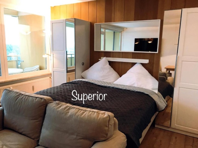 1 Bedroom Superior Apartment