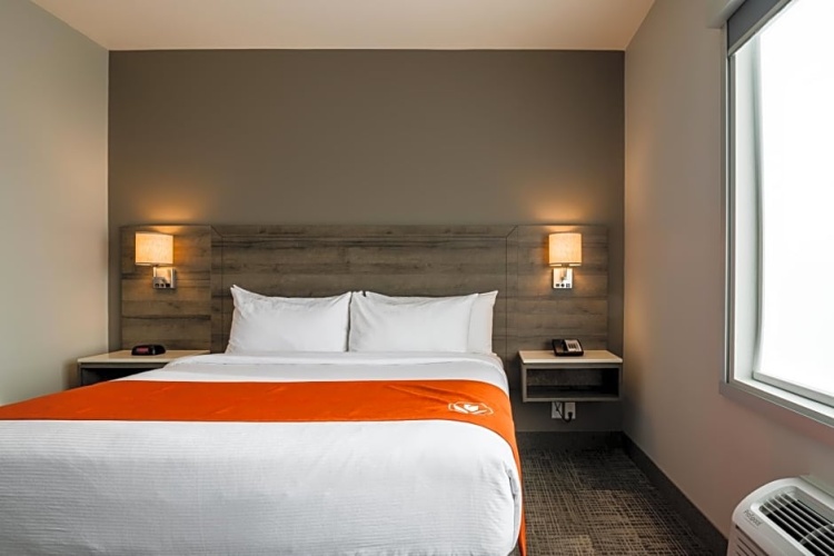 1 Bedroom Suite